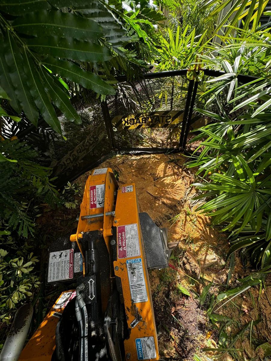 Stump Grinding for Outdoor Solutions Of The Glades in Hendry County, FL