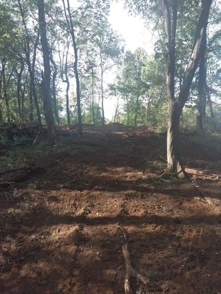 Land Clearing & Demolition for King of Dirt in Cornersville, TN