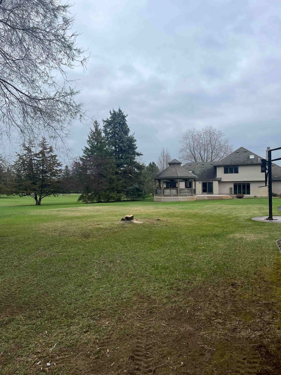 Tree Removal for K and Z Tree Care in Isanti County, MN