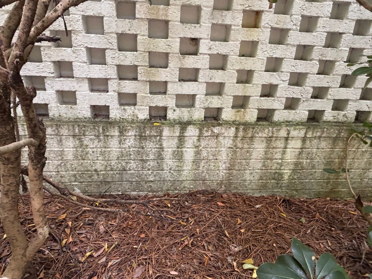Home Softwash for Living Stream Pressure Washing in Wilmington, NC