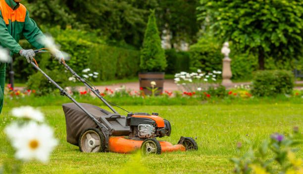 Landscaping for Deluxe New World Painting Company  in Cheboygan, MI