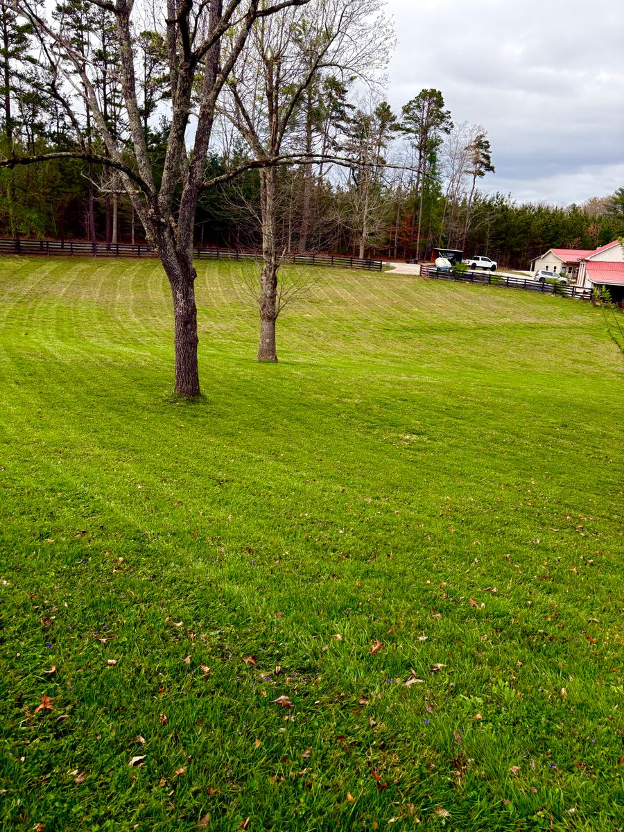 Mowing for Taylormade Lawn Management in Clarkesville, GA