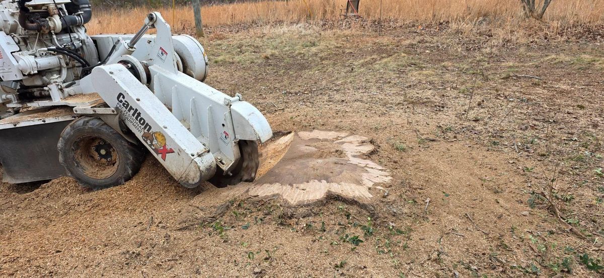 Stump Removal for Hamlett Tree Service LLC in Clover, VA