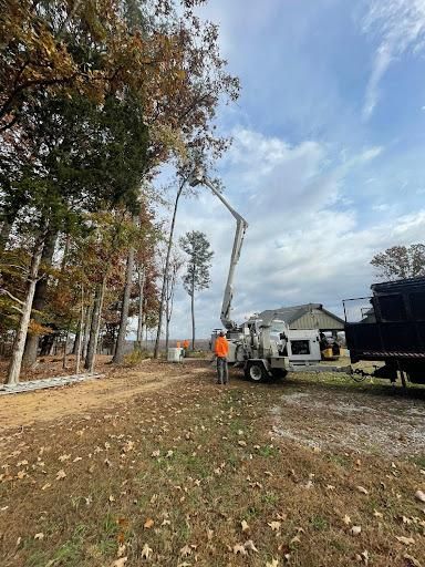 Tree Removal for Ross Family Tree Service LLC  in Hohenwald, TN