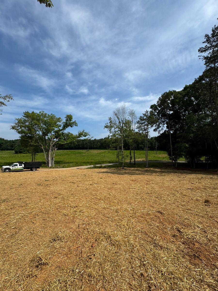 Land Clearing & Grading for Lovingood Landscape in Pittsboro, NC