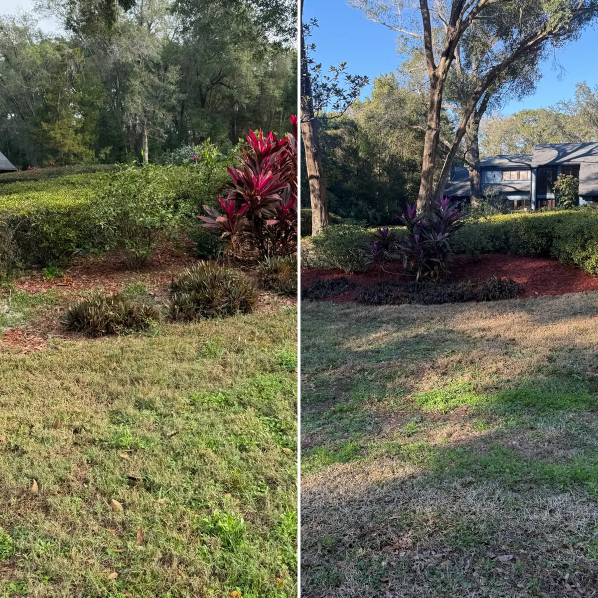Mowing for Amerigrown Tree And Lawn in Apopka, FL