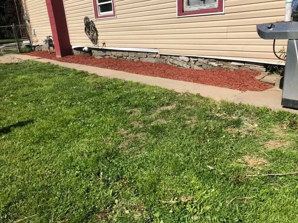 Mulching for Licensed to Cut Tree Service in Athens, PA