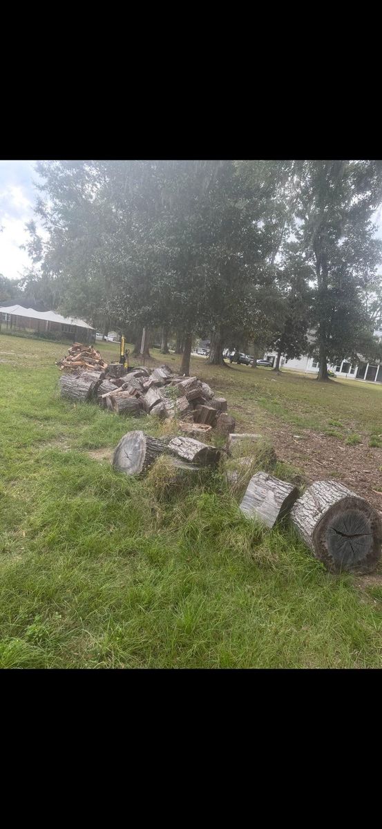 Tree Removal for Hawkins Tree Service & Land Management in Richmond Hill, GA