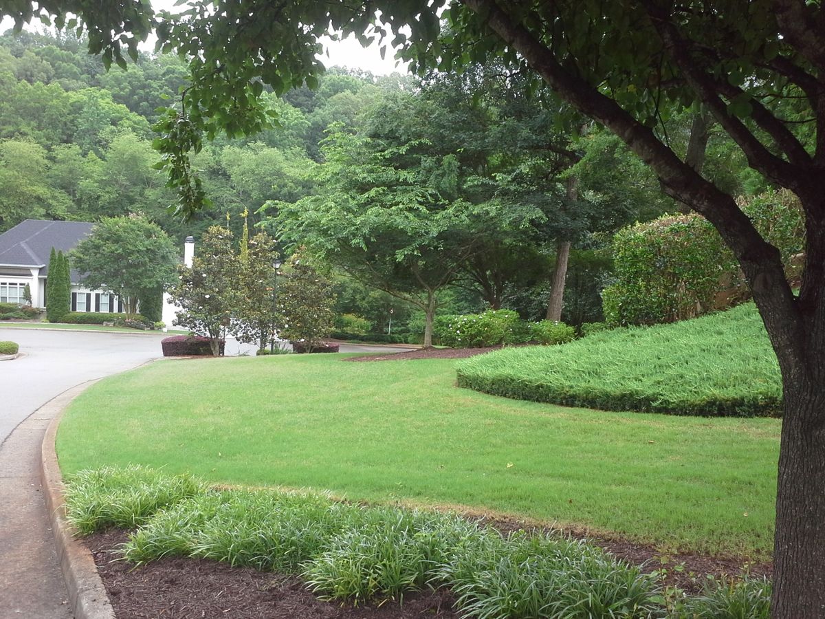 Mowing for Terra Bites Lawn Service in Jefferson, GA