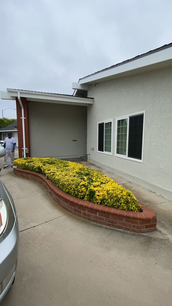 Other Services - Color Consultation for A1 Painting Service in Anaheim, CA