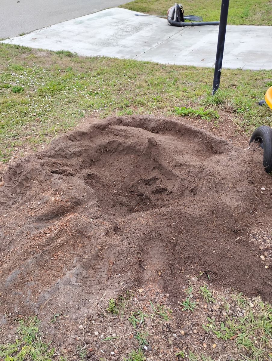 Stump Removal for Highlands Tree Service LLC in Avon Park, FL