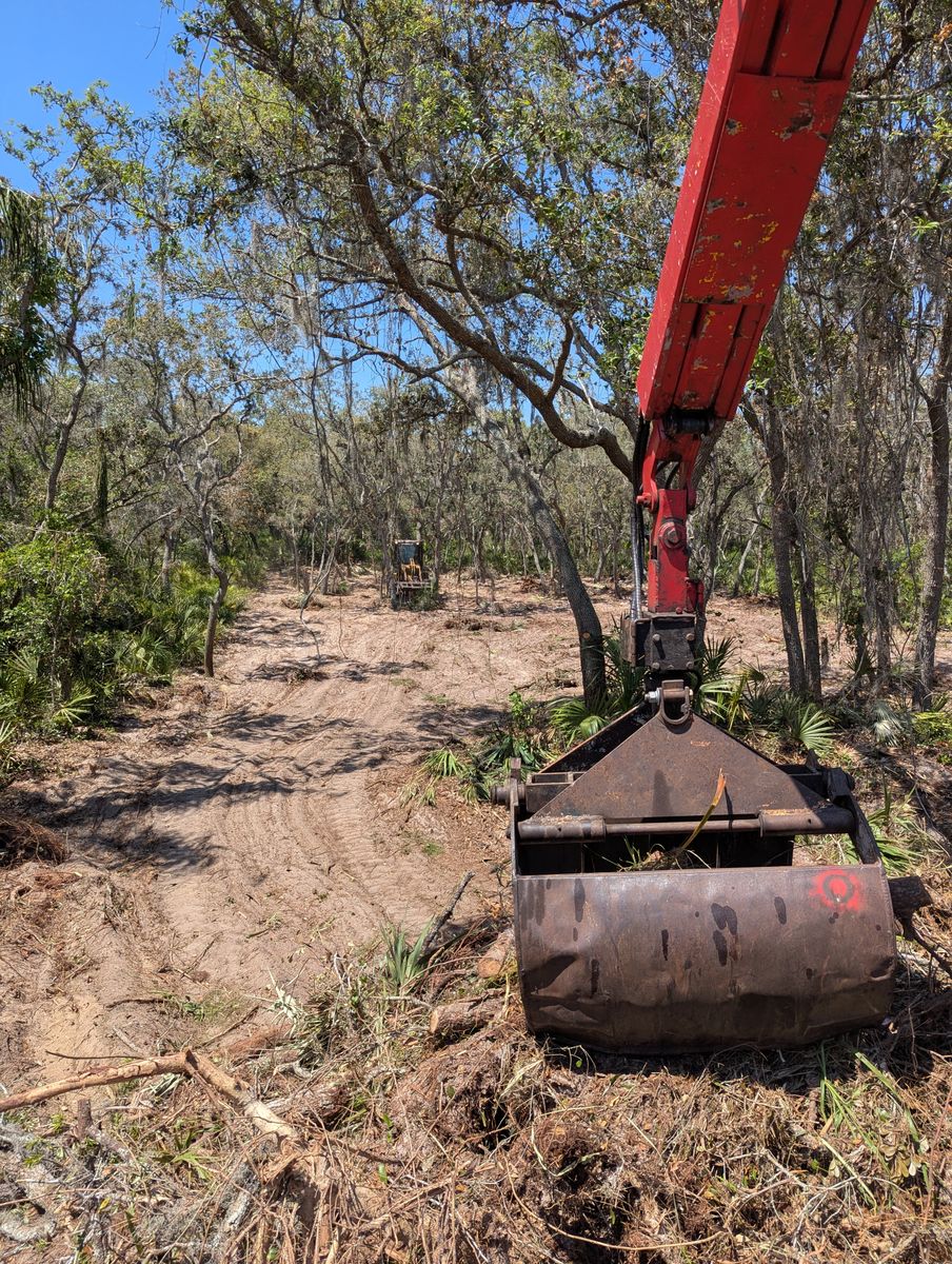 Land Clearing for Regal Tree Service and Stump Grinding in Wauchula, FL