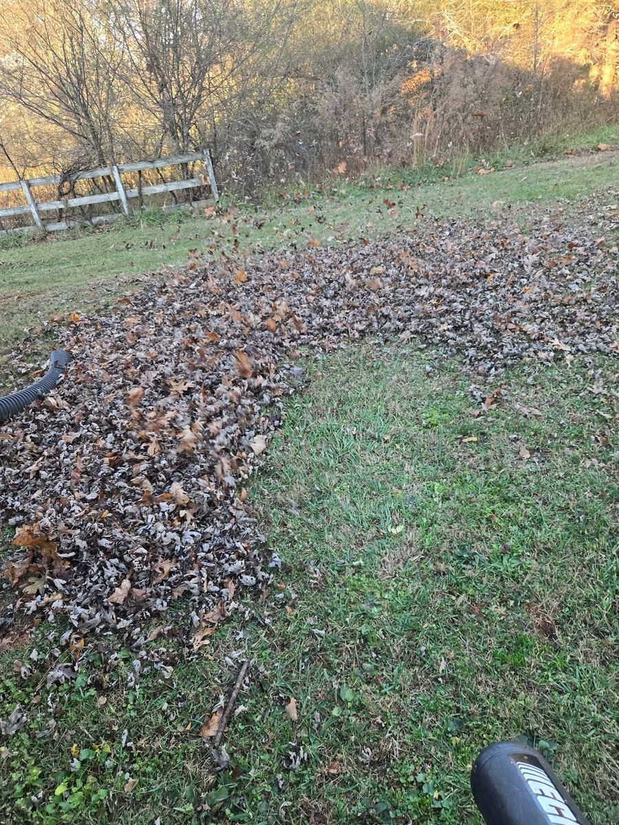 Fall Clean Up for Palmour's Lawn Care in Gainesville, GA