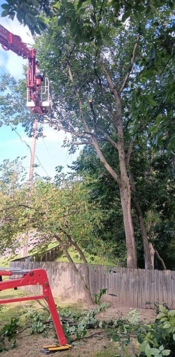 Tree Removal for Lawn Ranger Yard And Tree Service LLC in Ottumwa, IA
