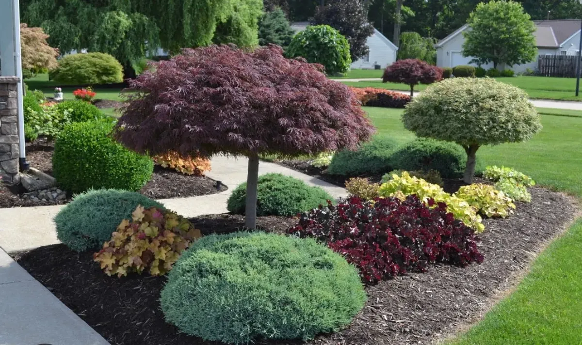 Mulch Installation for Elite Tree & Landscape Services LLC in St. Augustine, FL