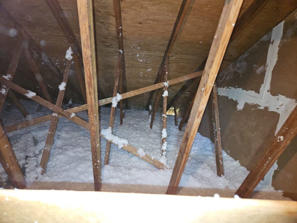 Crawl Space/Basement Insulation for Igloo Insulation in Fort Myers, FL