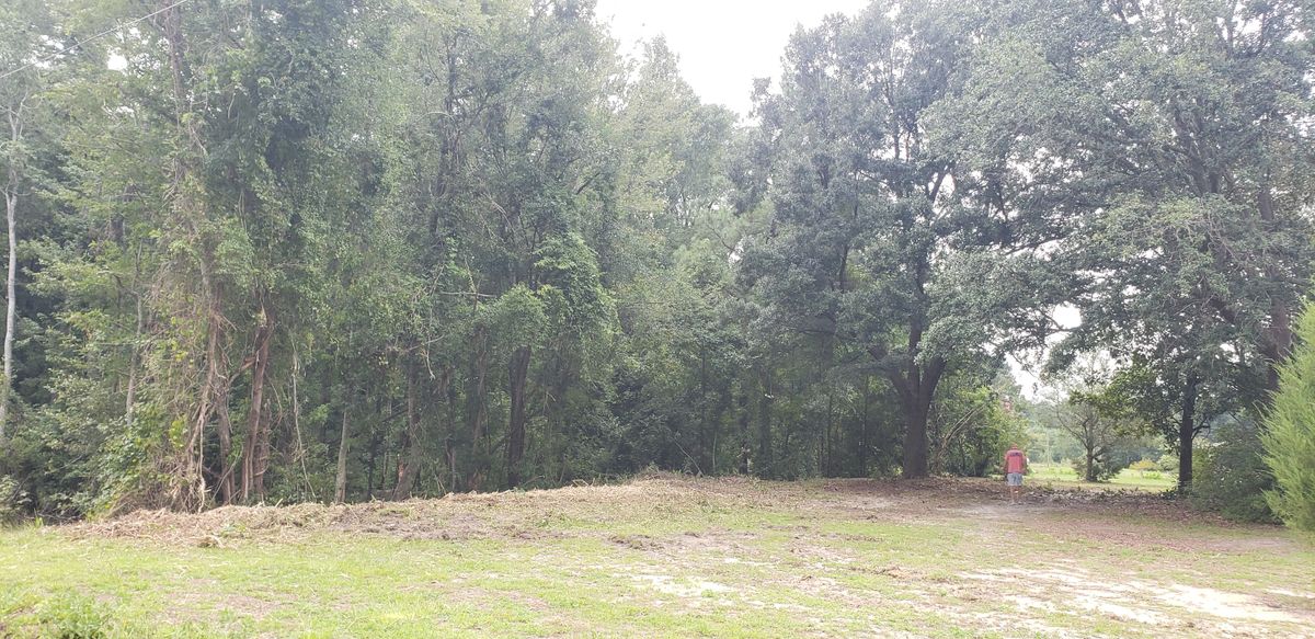 Forestry Mulching for TJ Farm and Land Management in Loris, SC