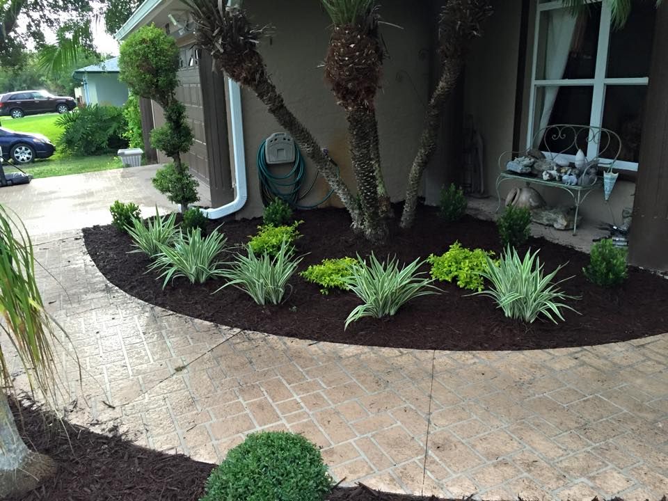 Palm and Trees for Plant World LLC in Cape Coral, FL