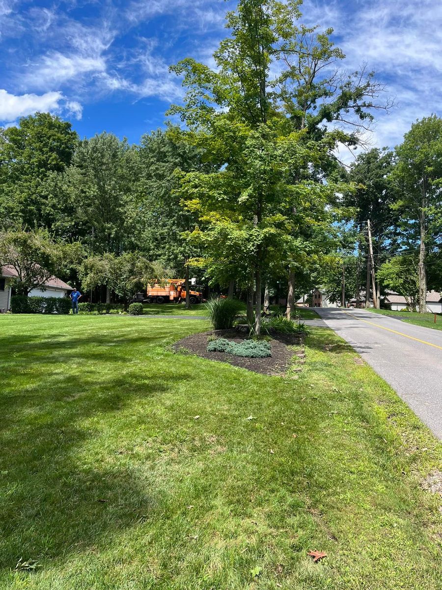  Land Clearing for J&E Tree & Excavation Services in Sandy, PA