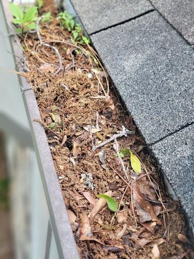 Gutter Guard Installation for Squeaky Clean Windows Gutters & More in Hoover, AL