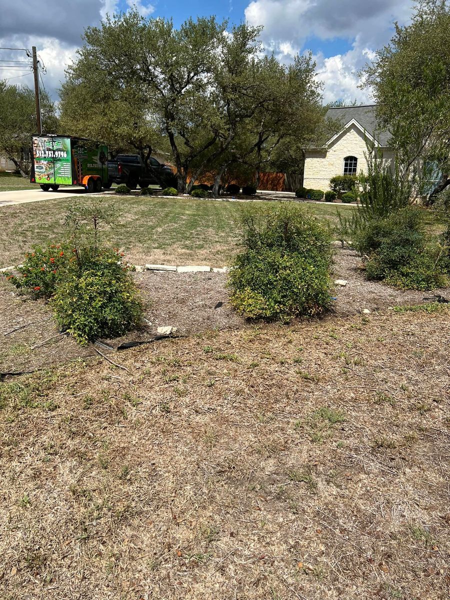 Bed Clean Outs for C & C Lawn Care and Maintenance in New Braunfels, TX