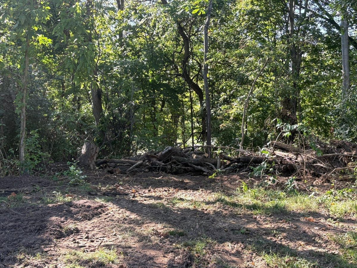 Fall Clean Up for Dig-It Tree Company in Mason, OH