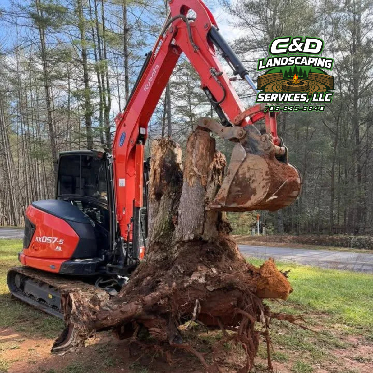 Tree Removal for C & D Landscaping Services LLC in Blairsville, GA