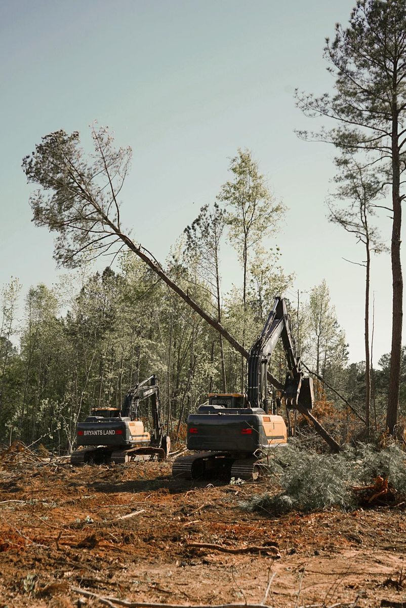 Land Clearing for Bryant's Land Services in Forsyth, GA