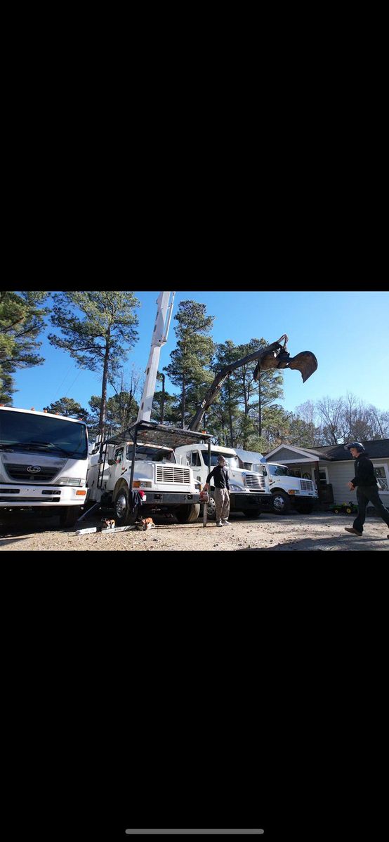 Tree Removal for AB Tree Service in Raleigh, NC