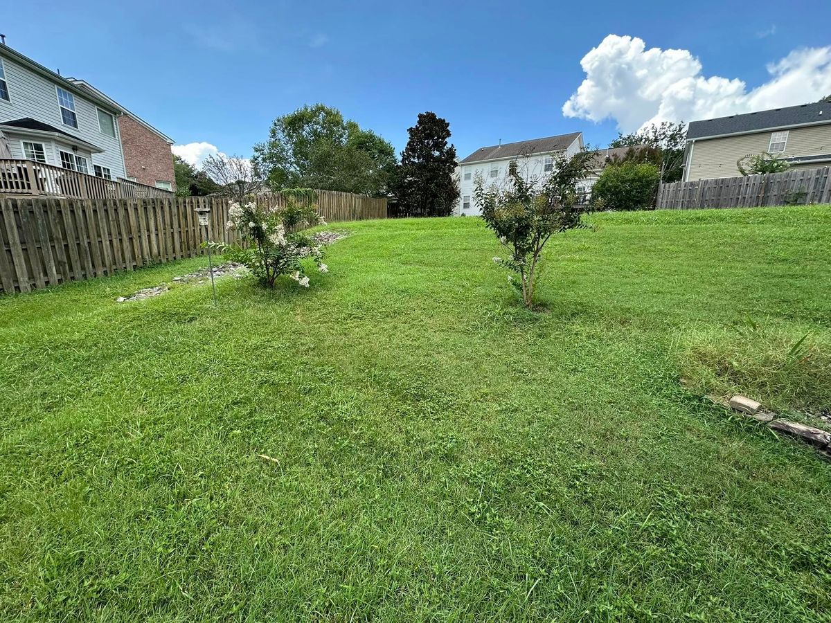 Landscape Design for Foxlan Landscapes in Fairview, TN