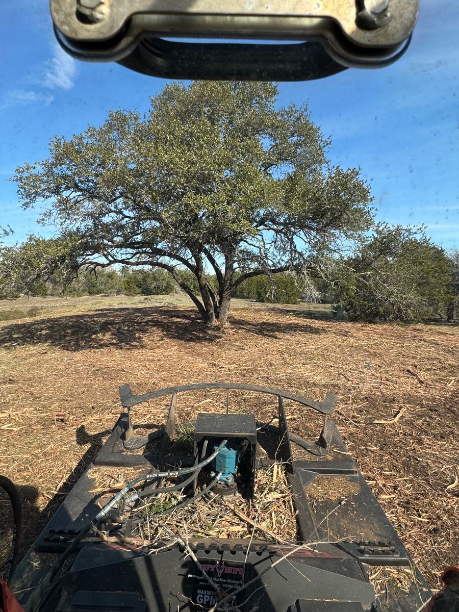 Underbrush Cutting for Marek Land Services in  Austin,  Texas