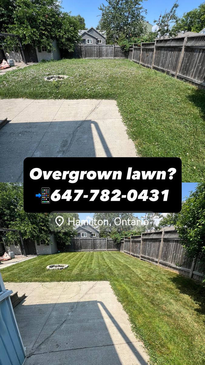 Lawn Care for CMN Exterior Maintenance in Hamilton, ON