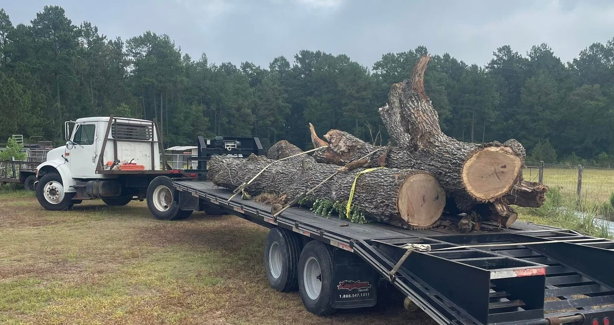 Forestry Mulching for Landers Ranch Services in Anderson, TX
