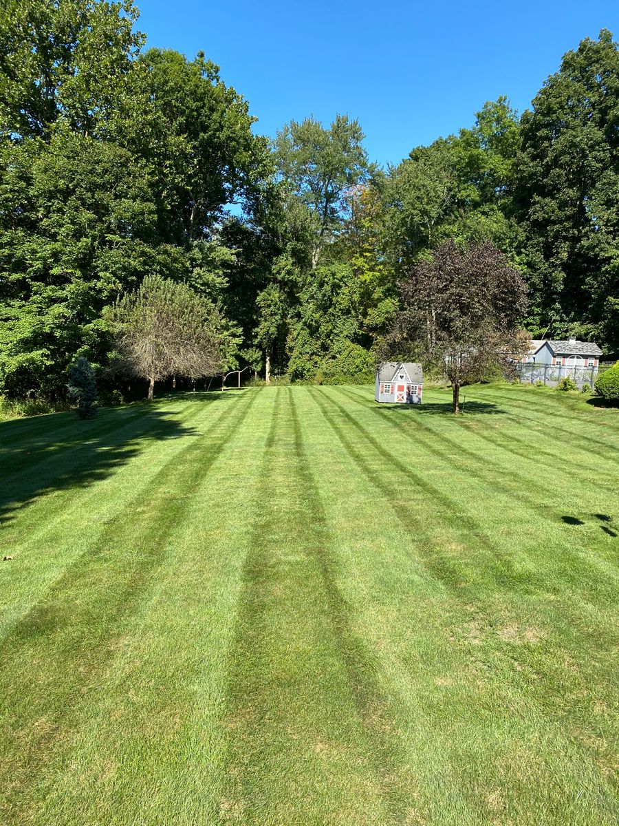 Lawn Maintenance for Stevenson Property Maintenance in Cheshire, CT