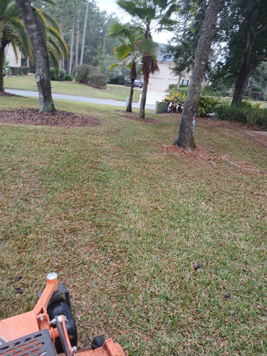 Fall Clean Up for Whole 9 Yards Services in Green Cove Springs, FL