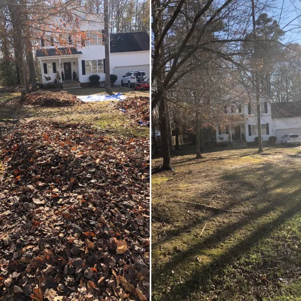 Fall and Spring Clean Up for Early Byrd Landscaping & Lawn Care  in Angier, NC