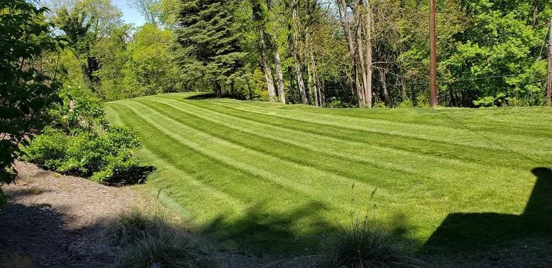 Lawn Maintenance for Lopez Landscaping and Tree Service  in Waynesville, NC