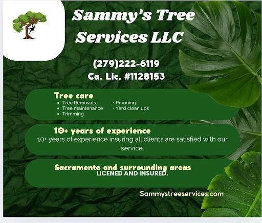 Tree planting for Sammy's Tree Services in Sacramento, CA