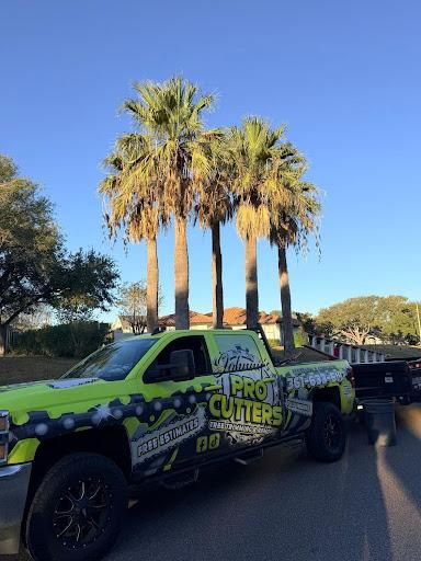 Tree Trimming for Johnnys Pro Cutters in Corpus Christi, TX