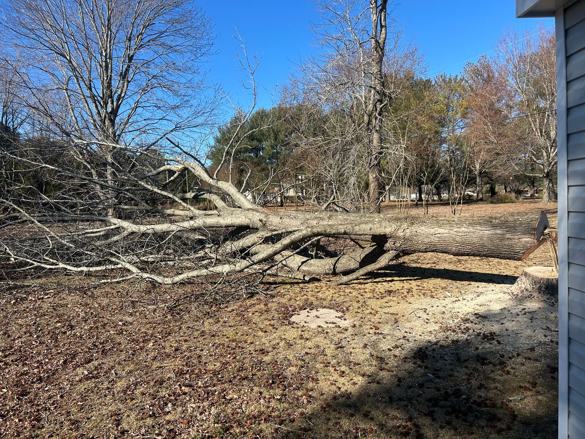 Fall and Spring Clean Up for The Whole 9 Yards Landscape VA in Heathsville, VA