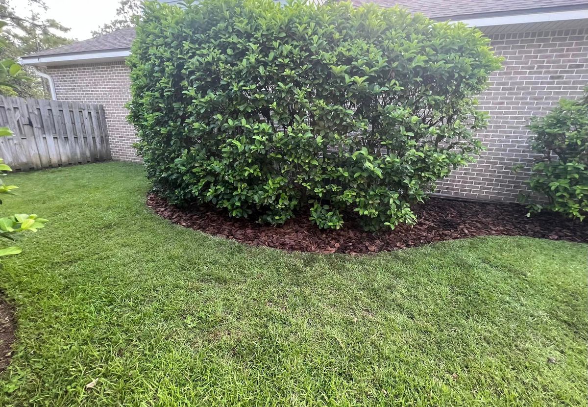 Tree Trimming for Poarch Creek Landscaping in Santa Rosa Beach, FL