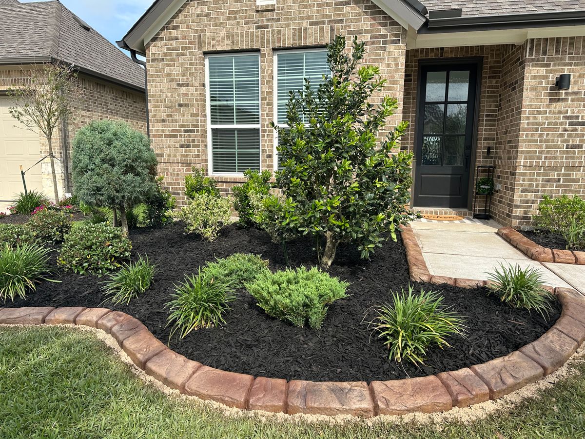 Landscaping for Texas Curb N Borders in Houston, TX