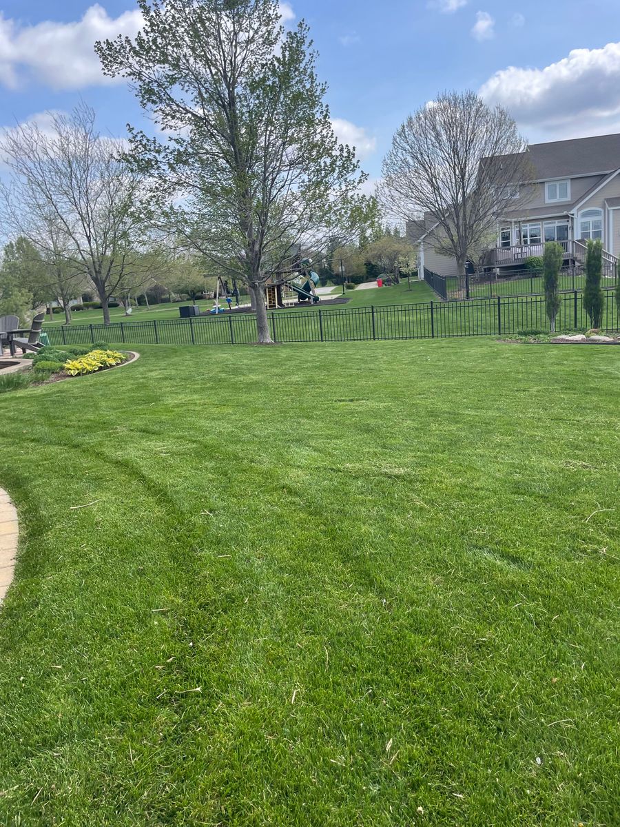 Lawn Maintenance for MDR Landscaping in Urbana, IL