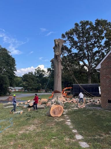 Tree Removal for Ricky's Tree Service & Property Care in Orange, VA