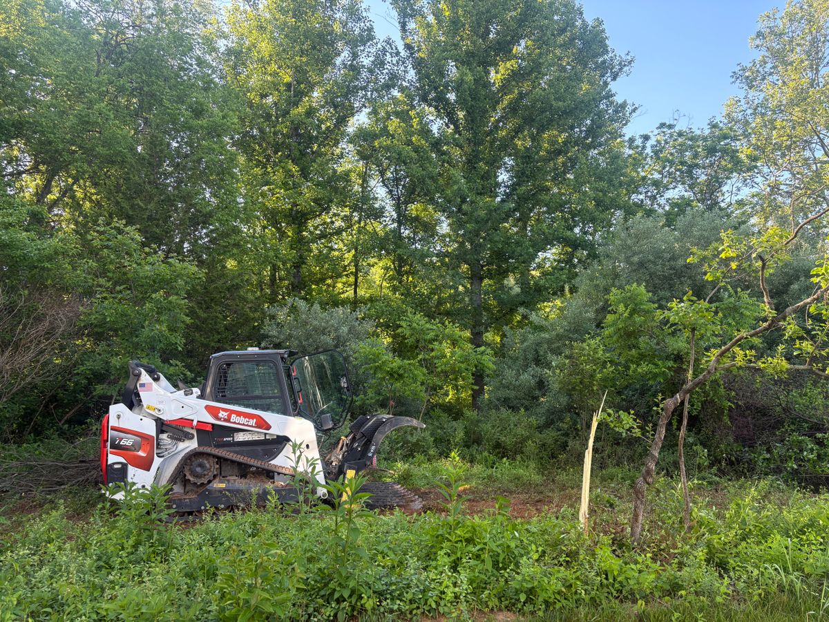 Land Clearing for Mountainside Property Services LLC in Warrenton, VA