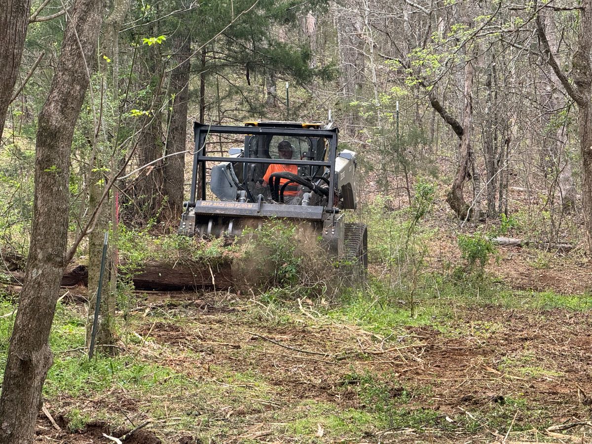 Land Clearing for Miller Farms Hay & Land Management in Knoxville, TN