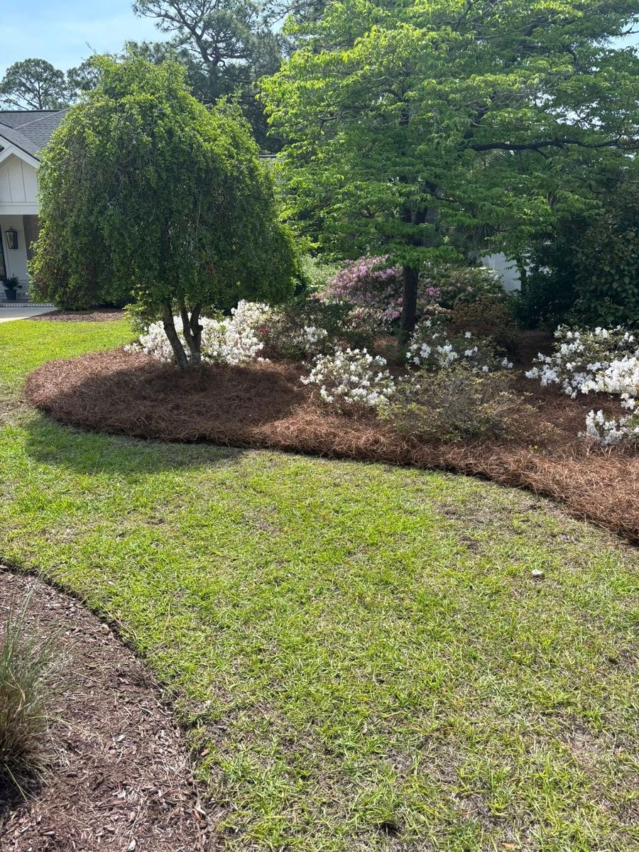 Flowerbed Installs for White Sands Landscaping in Myrtle Beach, SC