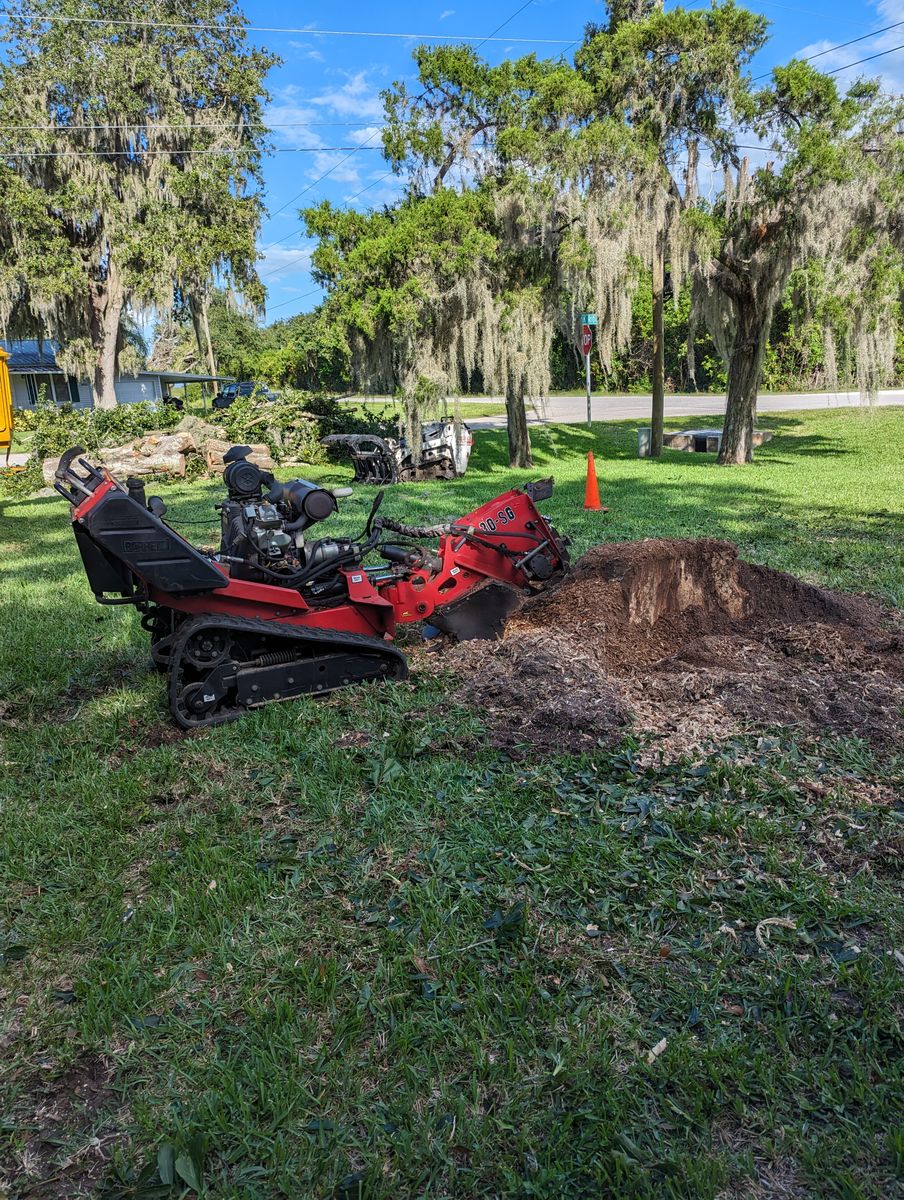 Stump Removal for Regal Tree Service and Stump Grinding in Wauchula, FL