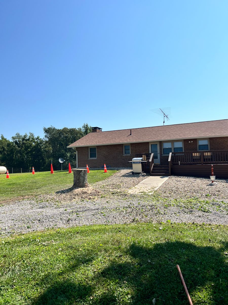 Tree Removal for Kadin’s Tree Service in North Vernon, IN