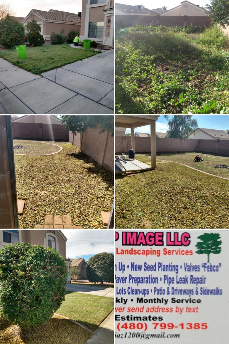 Lawn Maintenance / clean ups for Sharp Image LLC Landscaping & Hardscape in Phoenix, AZ